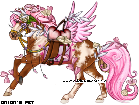 Dressed pet