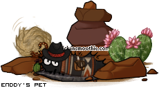 Dressed pet