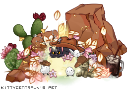 Dressed pet