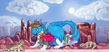 Dressed pet