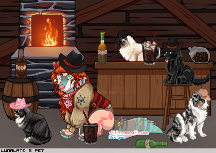 Dressed pet