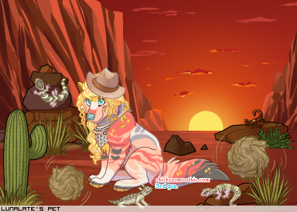 Dressed pet