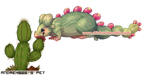 Dressed pet