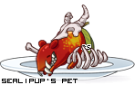 Dressed pet