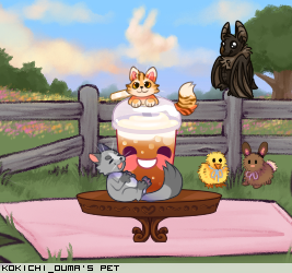 Dressed pet