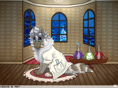 Dressed pet