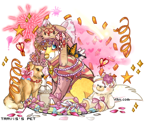 Dressed pet