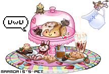 Dressed pet