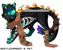 Dressed pet