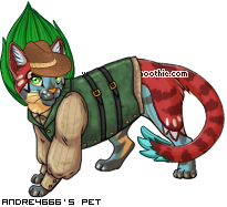 Dressed pet