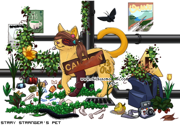 Dressed pet