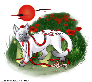 Dressed pet