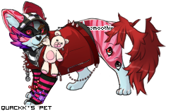 Dressed pet