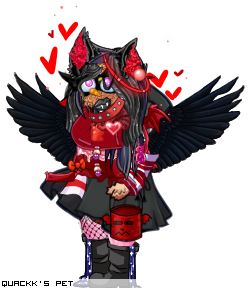 Dressed pet