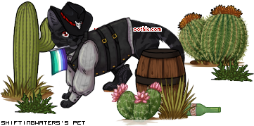 Dressed pet