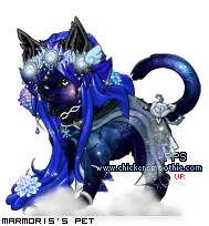 Dressed pet