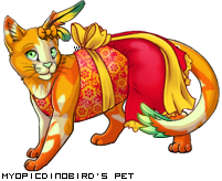 Dressed pet