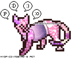 Dressed pet
