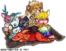 Dressed pet