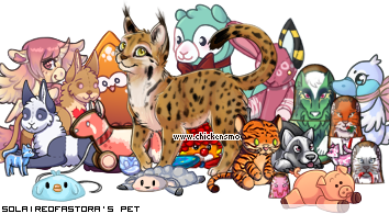 Dressed pet