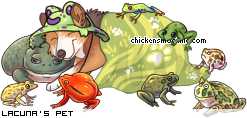 Dressed pet