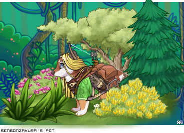 Dressed pet