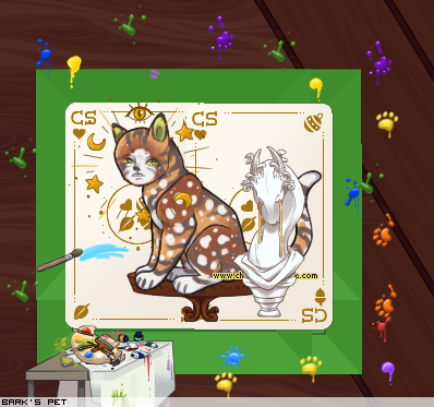 Dressed pet