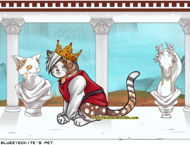 Dressed pet