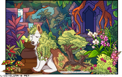 Dressed pet