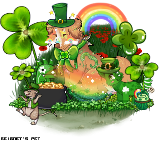 Dressed pet
