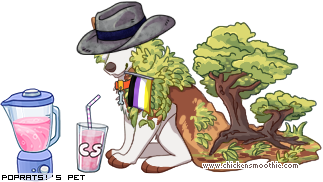 Dressed pet