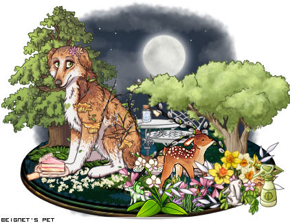 Dressed pet
