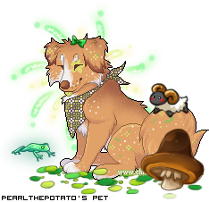 Dressed pet