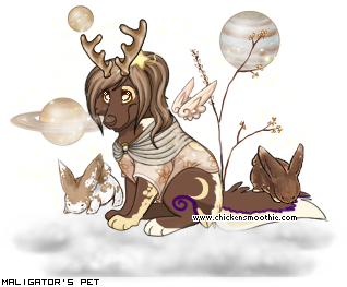 Dressed pet