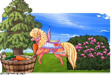 Dressed pet