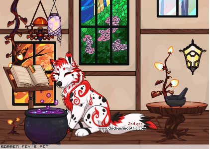 Dressed pet