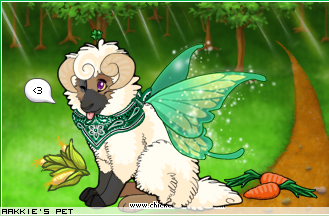 Dressed pet