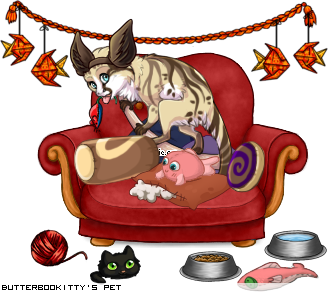 Dressed pet
