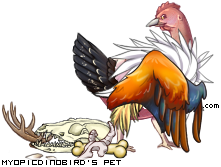 Dressed pet