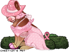 Dressed pet