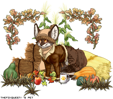 Dressed pet