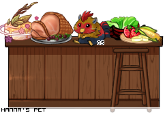 Dressed pet