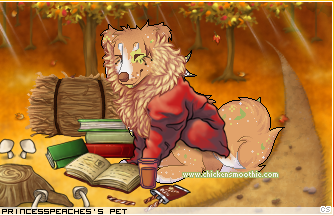 Dressed pet