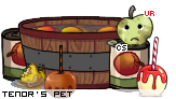 Dressed pet