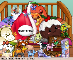 Dressed pet