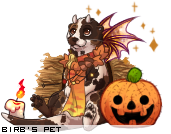 Dressed pet