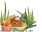 Dressed pet