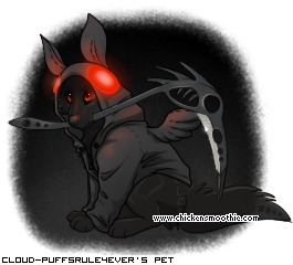 Dressed pet