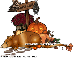 Dressed pet