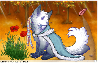 Dressed pet